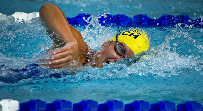 SHaRK--the-belgium-role-mod